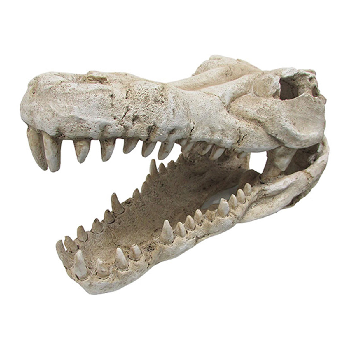 iPetz Croc Skull Reptile Accessory