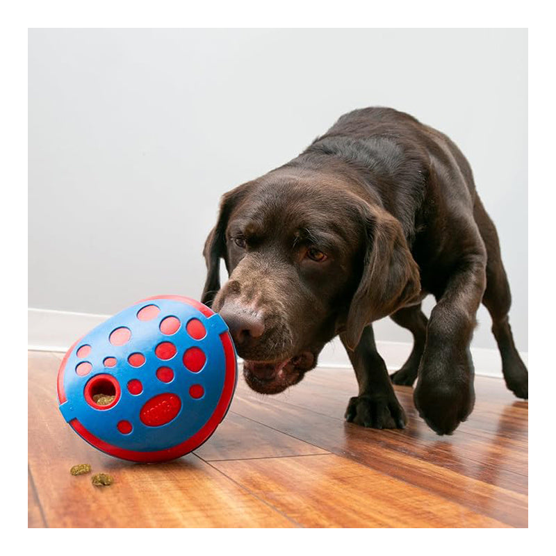Kong Rewards Wally Toy