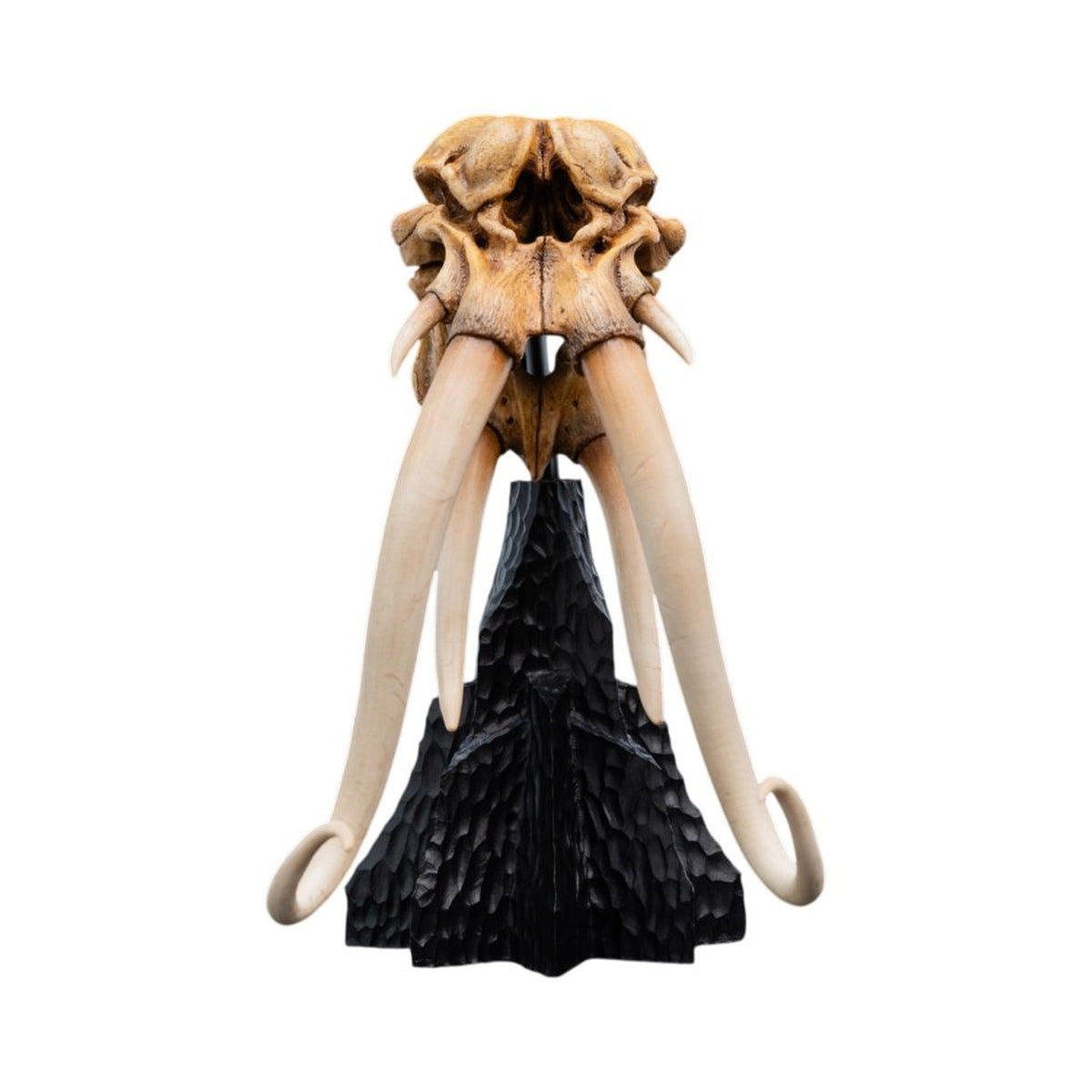 The Lord of the Rings Skull of A Mumak SDCC 2025 Mini Statue