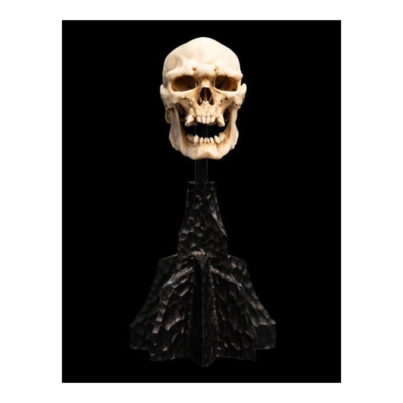 The Lord of the Rings Skull of a Mordor Orc Miniature