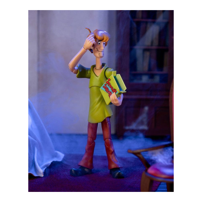 Scooby-Doo! Shaggy 6" Action Figure