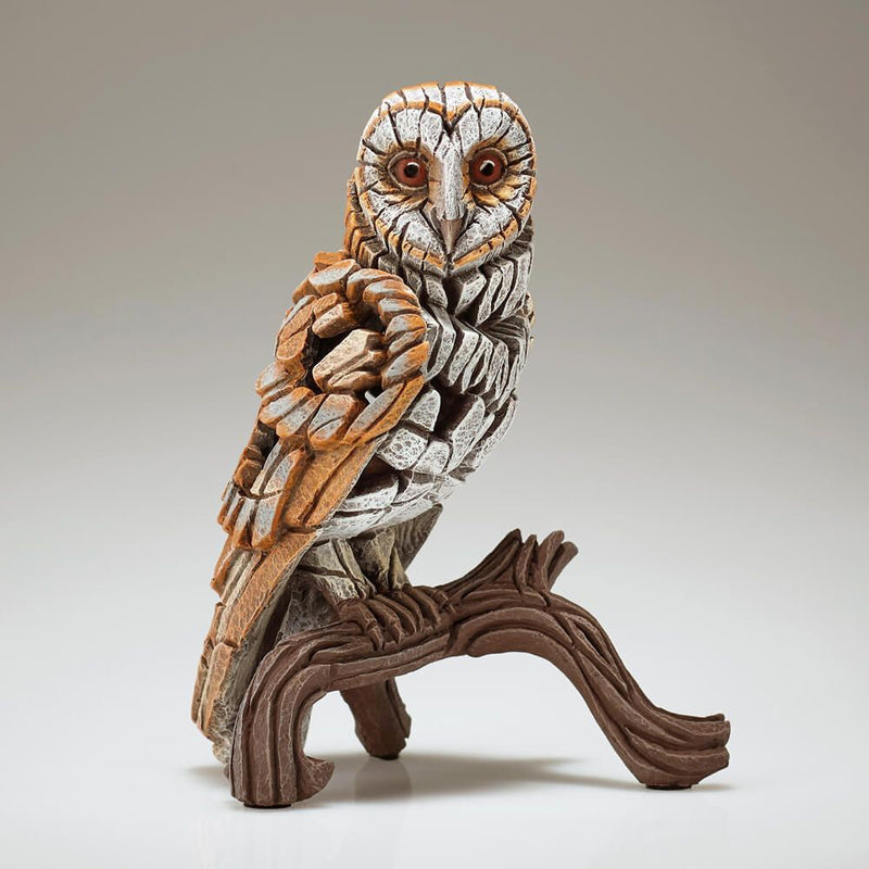 Edge Miniature Barn Owl