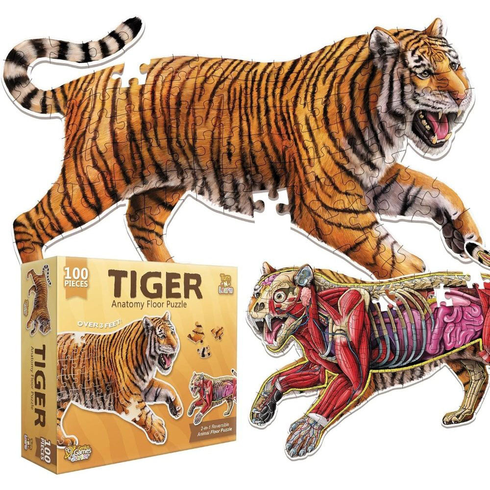 Anatomy Floor Puzzle