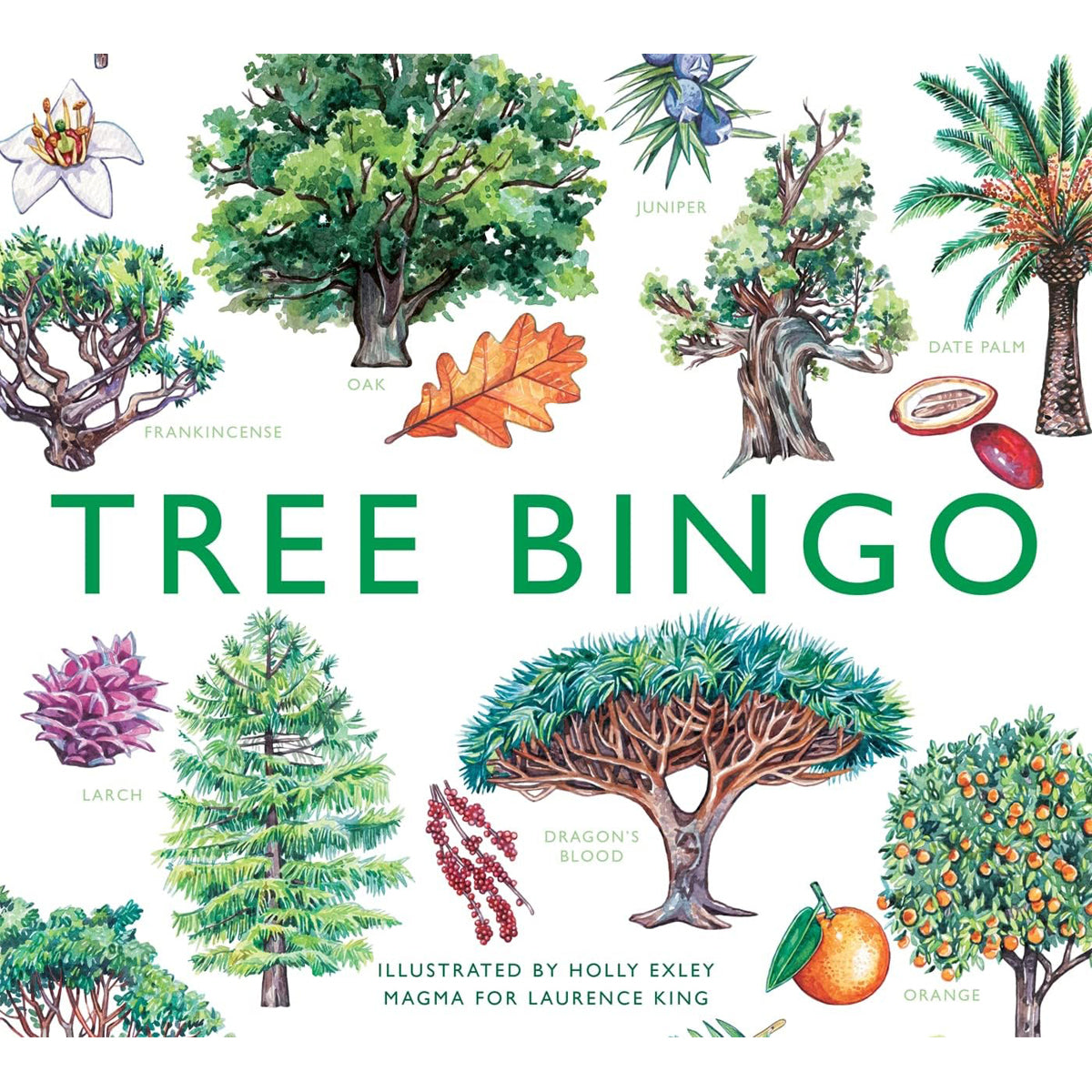 Tree Bingo: Educational Nature Game