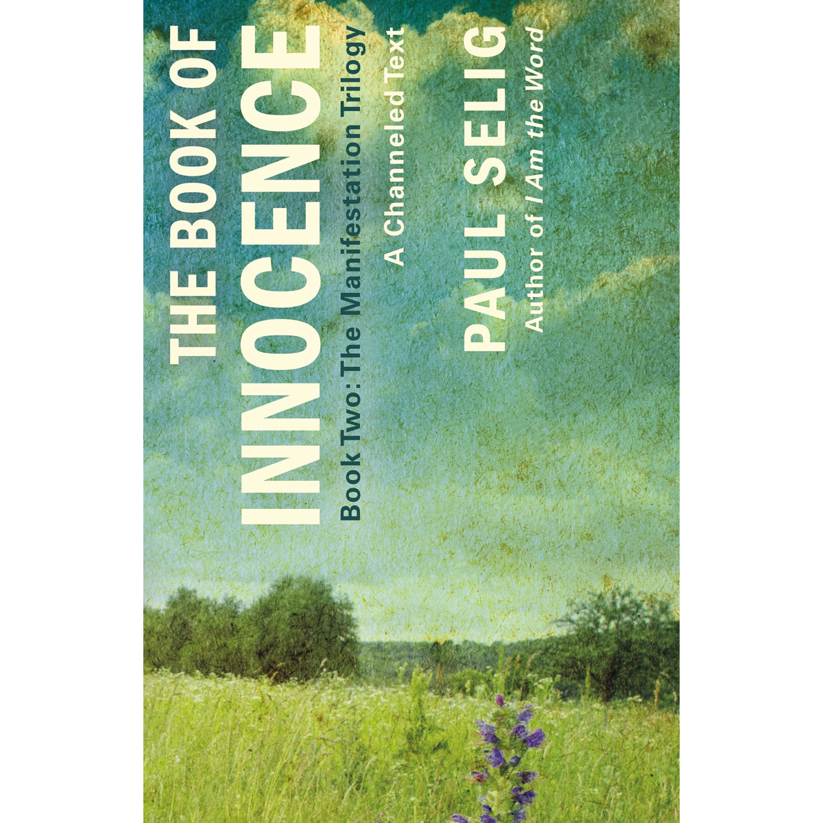 The Book of Innocence: Contemporary Fiction