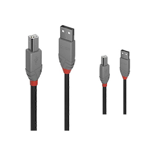 Lindy USB-A 2.0 to USB-B Cable Anthra Line