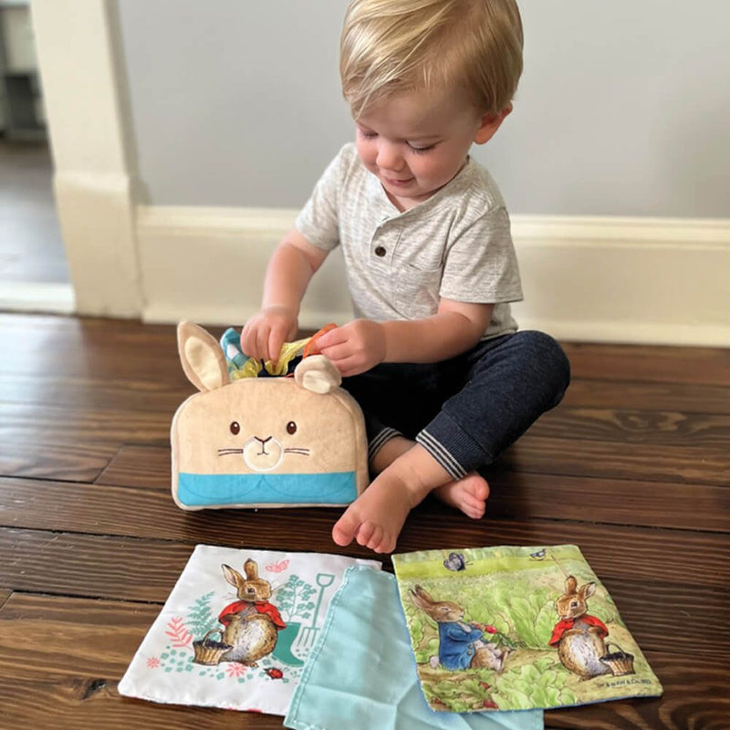 Peter Rabbit Tissue Box Play Set