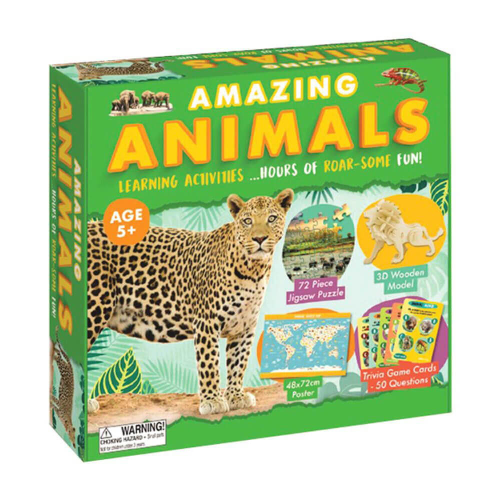 Amazing Activity Set