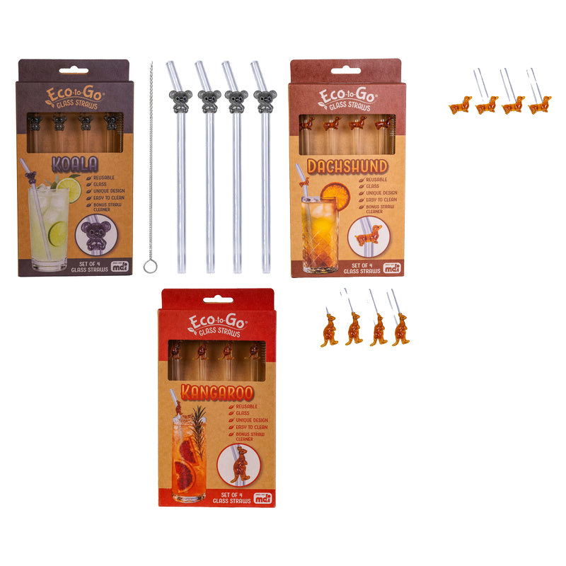 Eco to Go Glass Straw (Pack of 4)