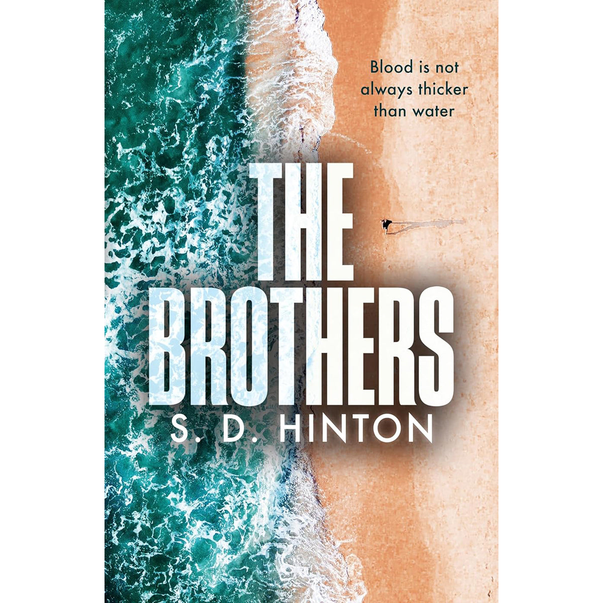 The Brothers: Family Drama Novel