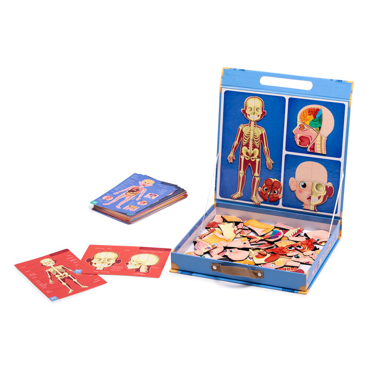 Eurekakids Magnetic Human Body Learning Set