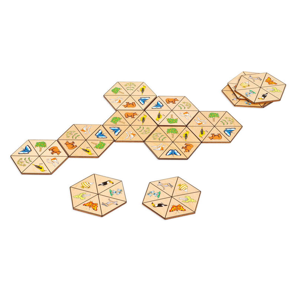 Toys for Life Hexagon Nature Learning Activity