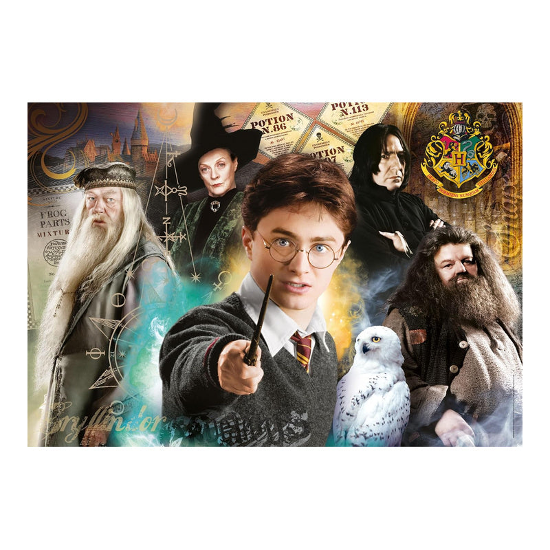 Puzzle Harry Potter Design 1 Poster Included 500pcs