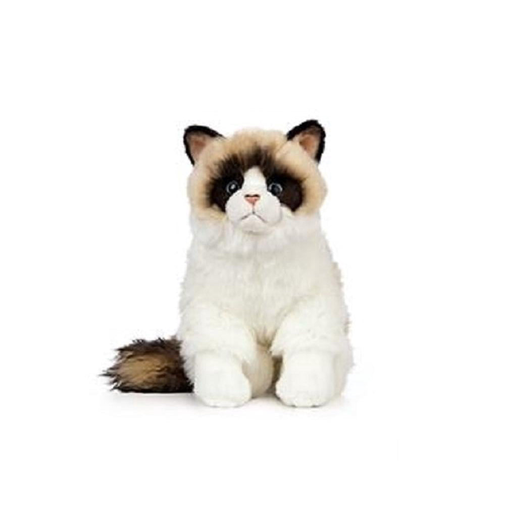 Living Nature Ragdoll Cat