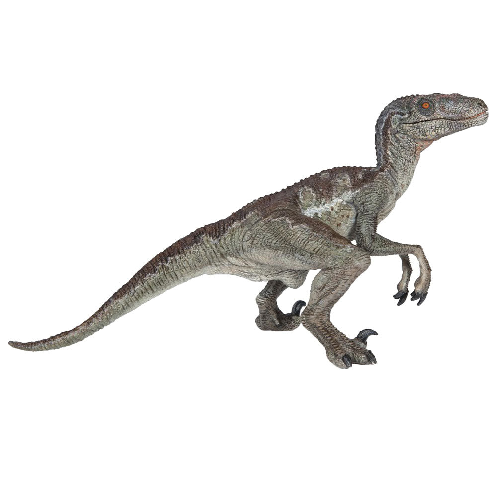 Papo Velociraptor Dinosaur Figurine