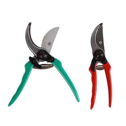 Professional Secateurs 21cm (1pc Random Color)