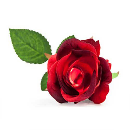 LED Enchanting Rose