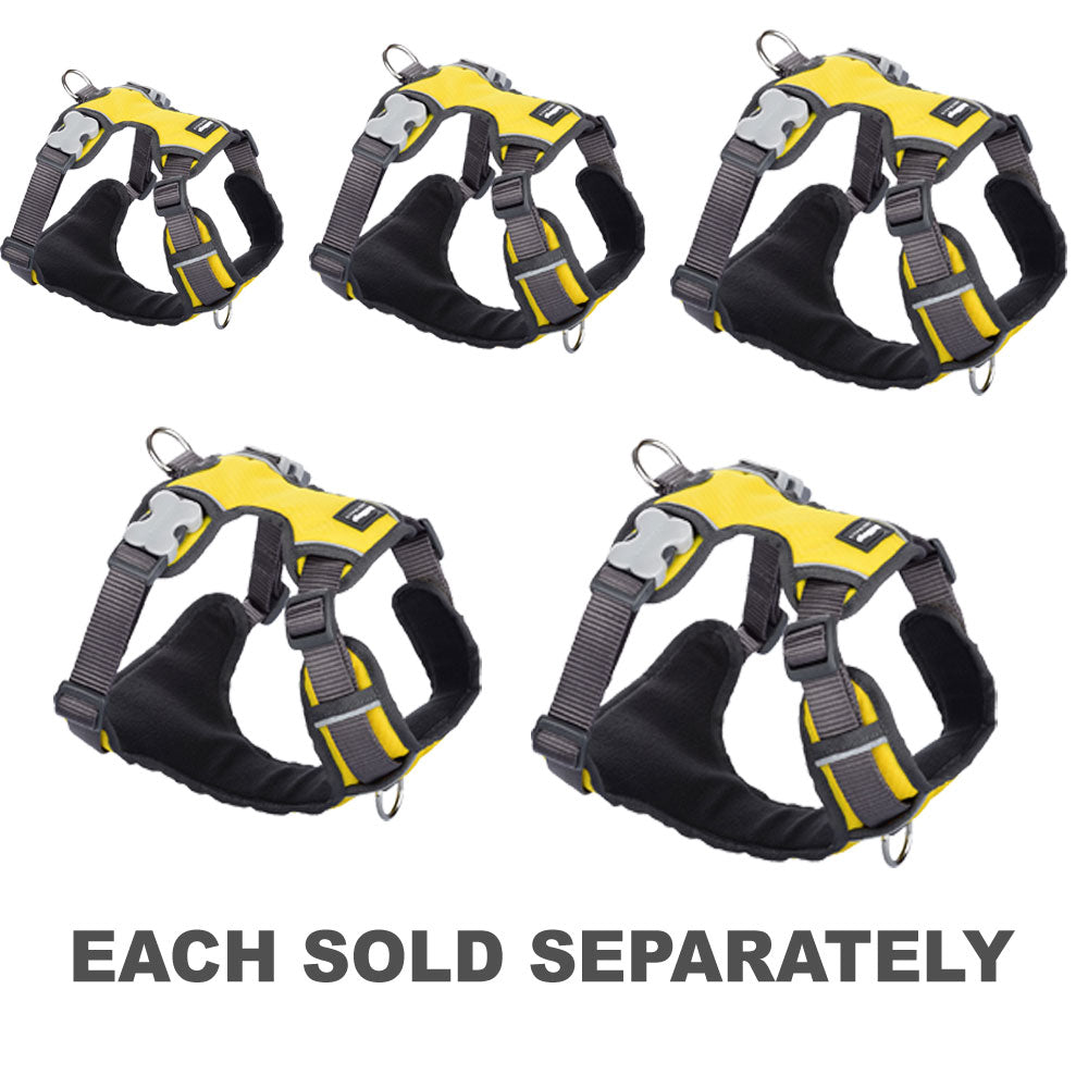 Padded Harness (Yellow)