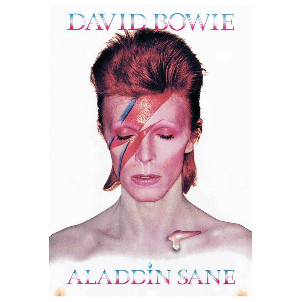 David Bowie Tin Sign
